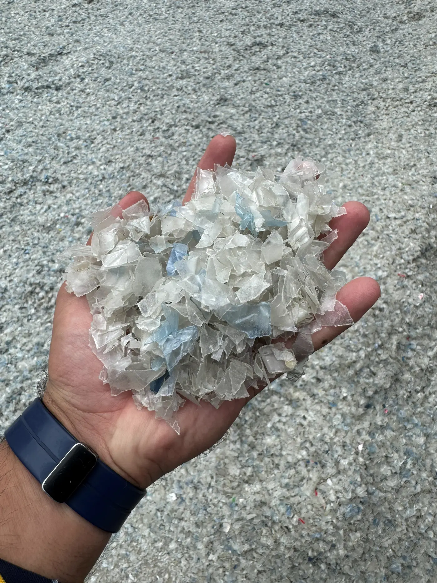A handful of clean recycled rPET flakes
